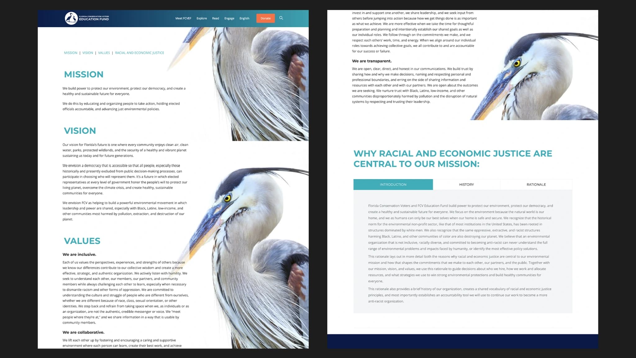 RooSites Lands Artist Advocacy Foundation for Website Design — 3