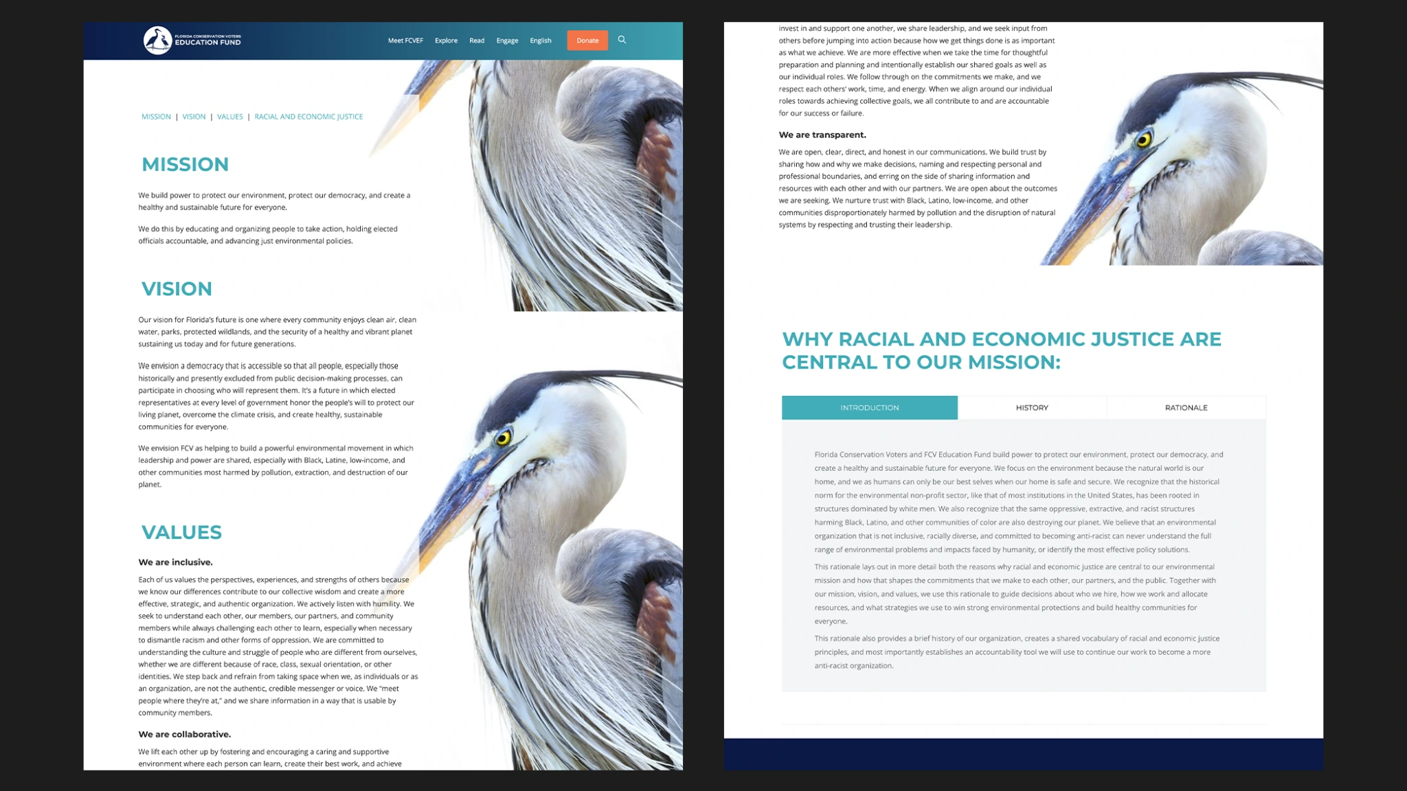 RooSites Lands Artist Advocacy Foundation for Website Design — 3