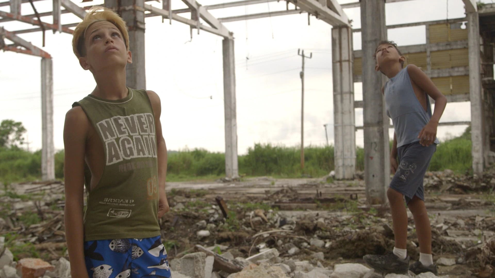 WTF! Studios Delivers Digital Experience for 'Baracoa' Film — 3