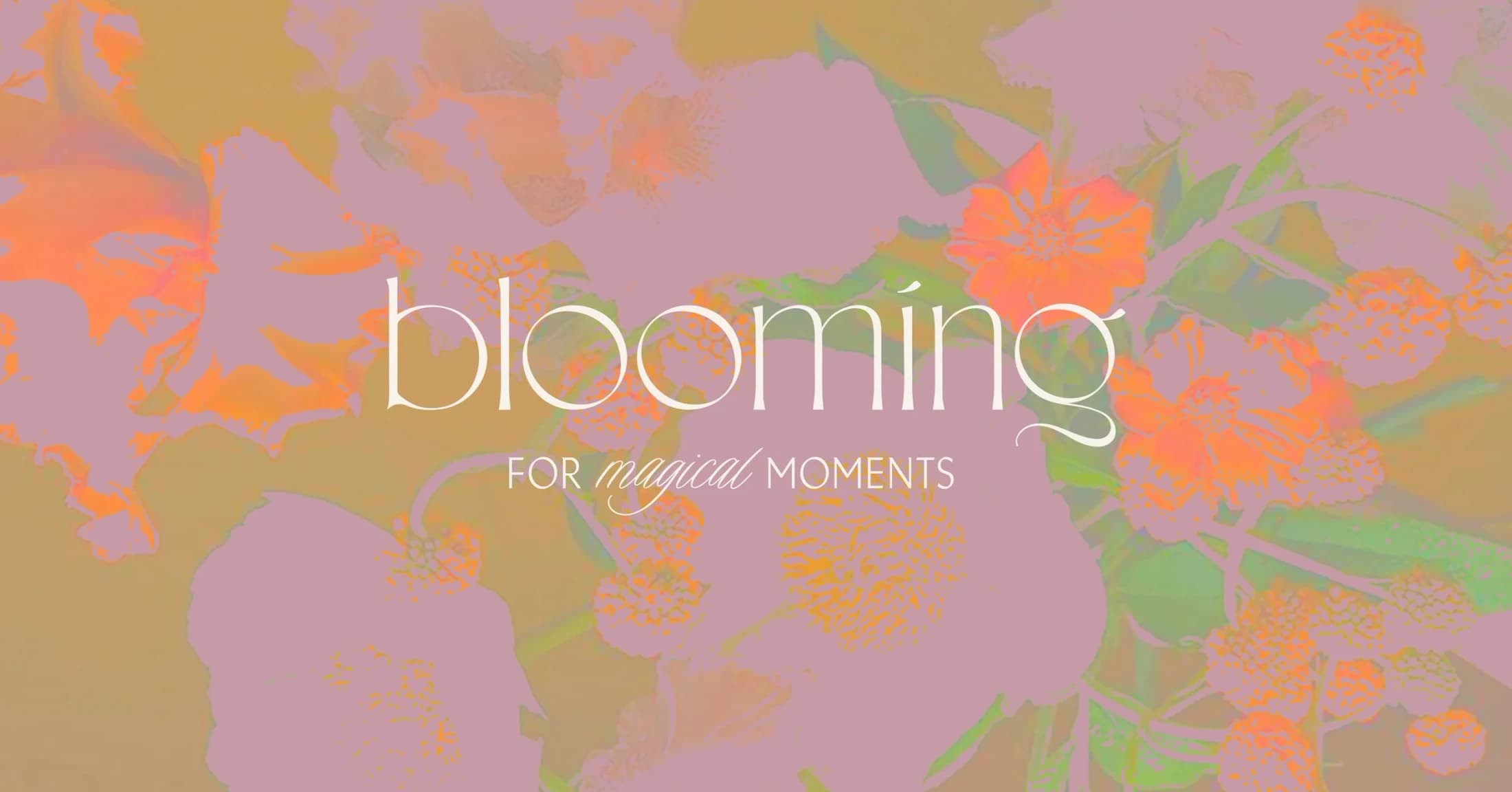 Goodside Studio Redesigns Bloomnet Brand Identity — 2