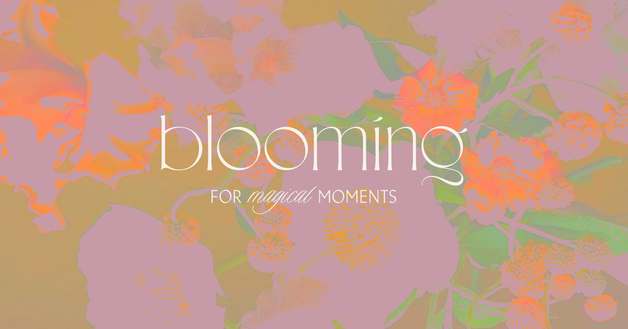 Goodside Studio Redesigns Bloomnet Brand Identity — 2