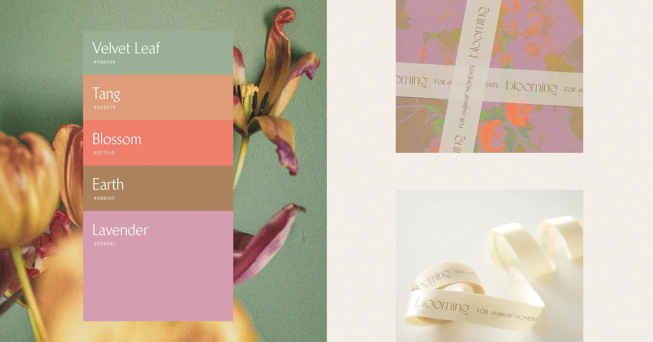 Goodside Studio Redesigns Bloomnet Brand Identity