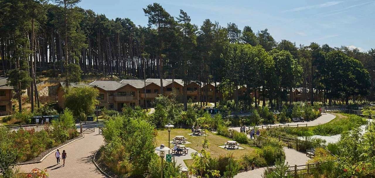 Pink Neon Appointed PR and Creator Agency of Record for Center Parcs UK & Ireland — 2