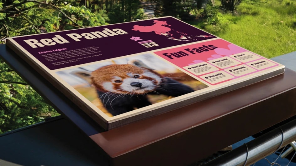 Notorious Communications Launches Easter Campaign for Chester Zoo — 4