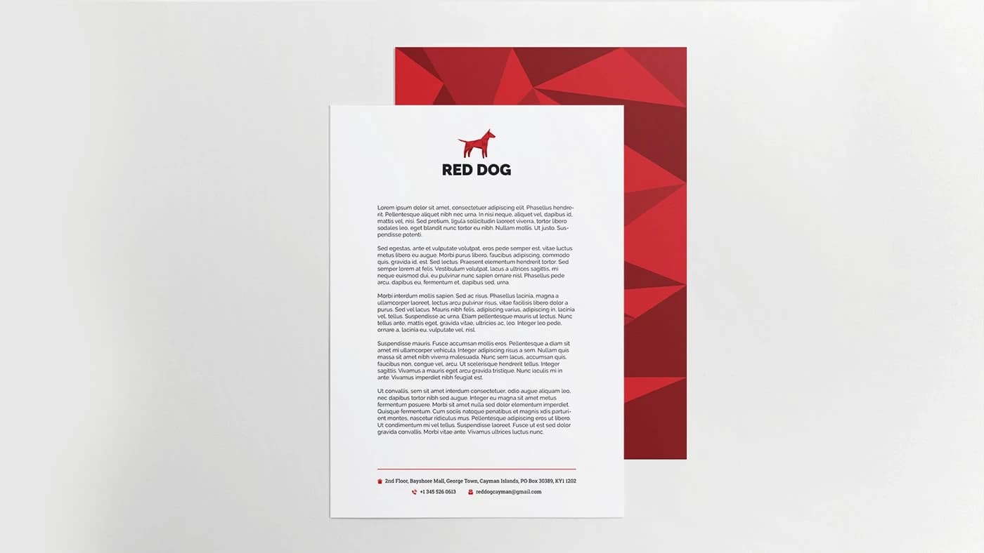 Red Dog Creative Agency and Good as Gold Digital Report Record Applications for IADT — 2