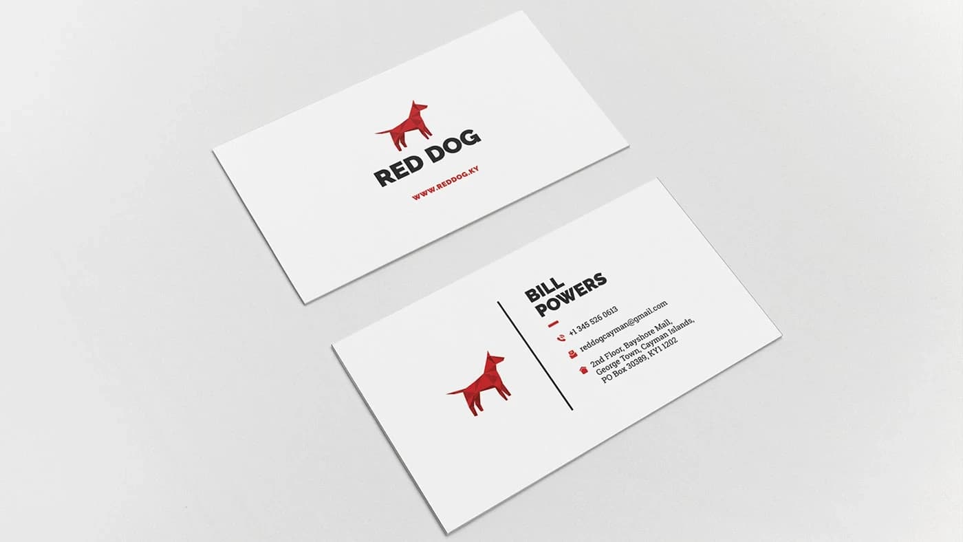 Red Dog Creative Agency and Good as Gold Digital Report Record Applications for IADT — 3