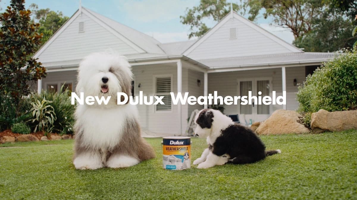 Howatson+Company Named Creative Agency of Record for Dulux Australia, Remit Expanded — 3