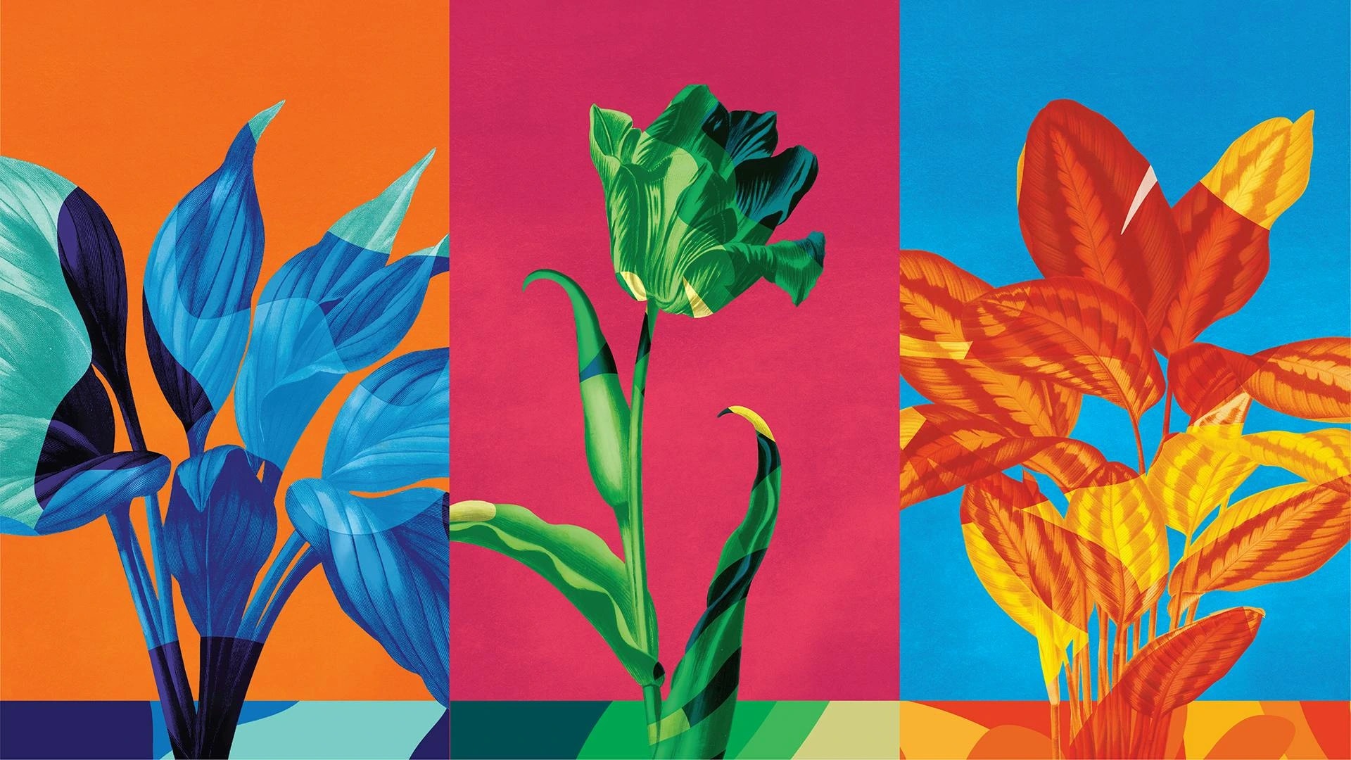 Design Bridge and Partners Wins Grand Prix for Forest Carbon Brand Identity — 3