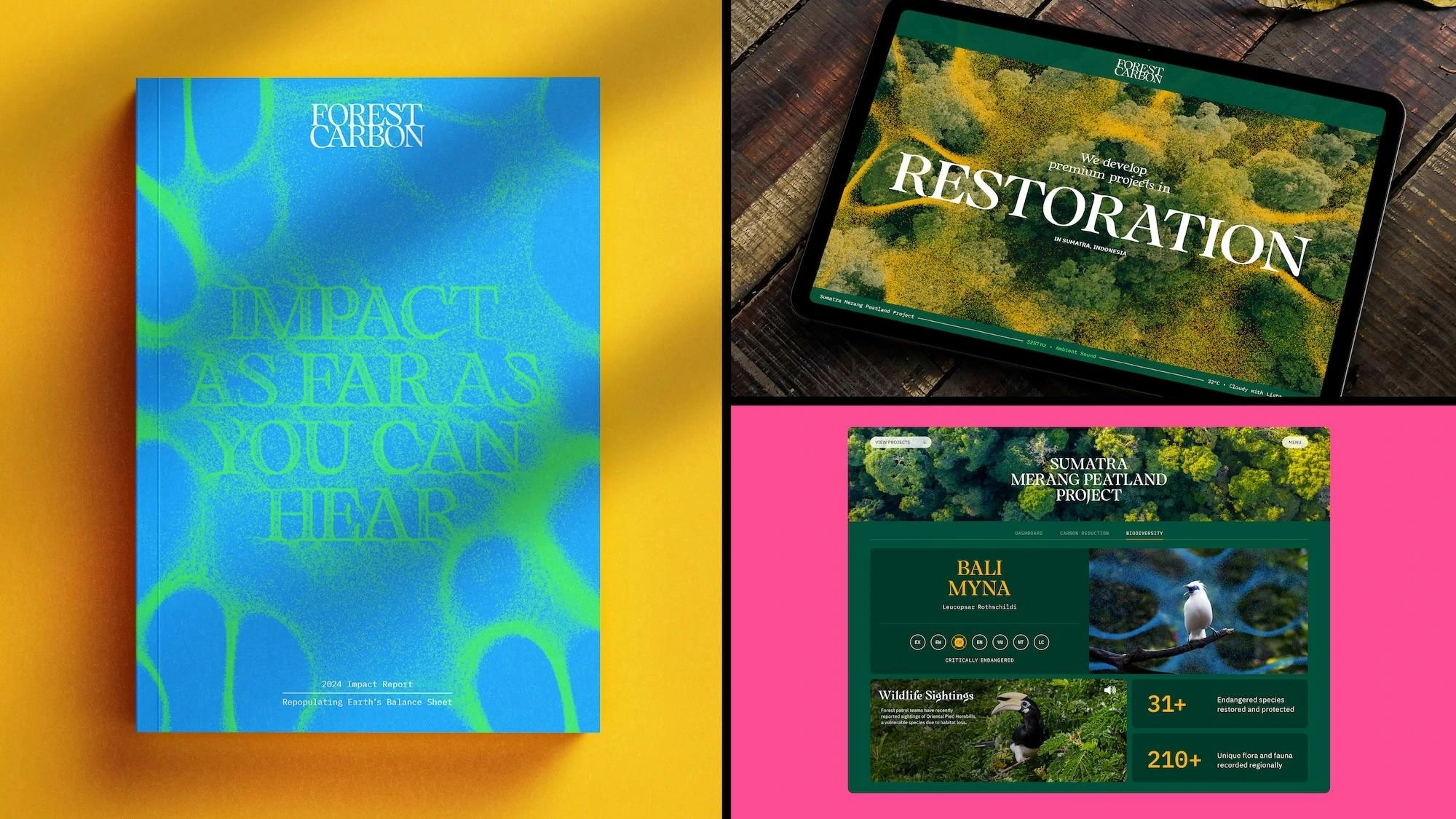 Design Bridge and Partners Wins Grand Prix for Forest Carbon Brand Identity