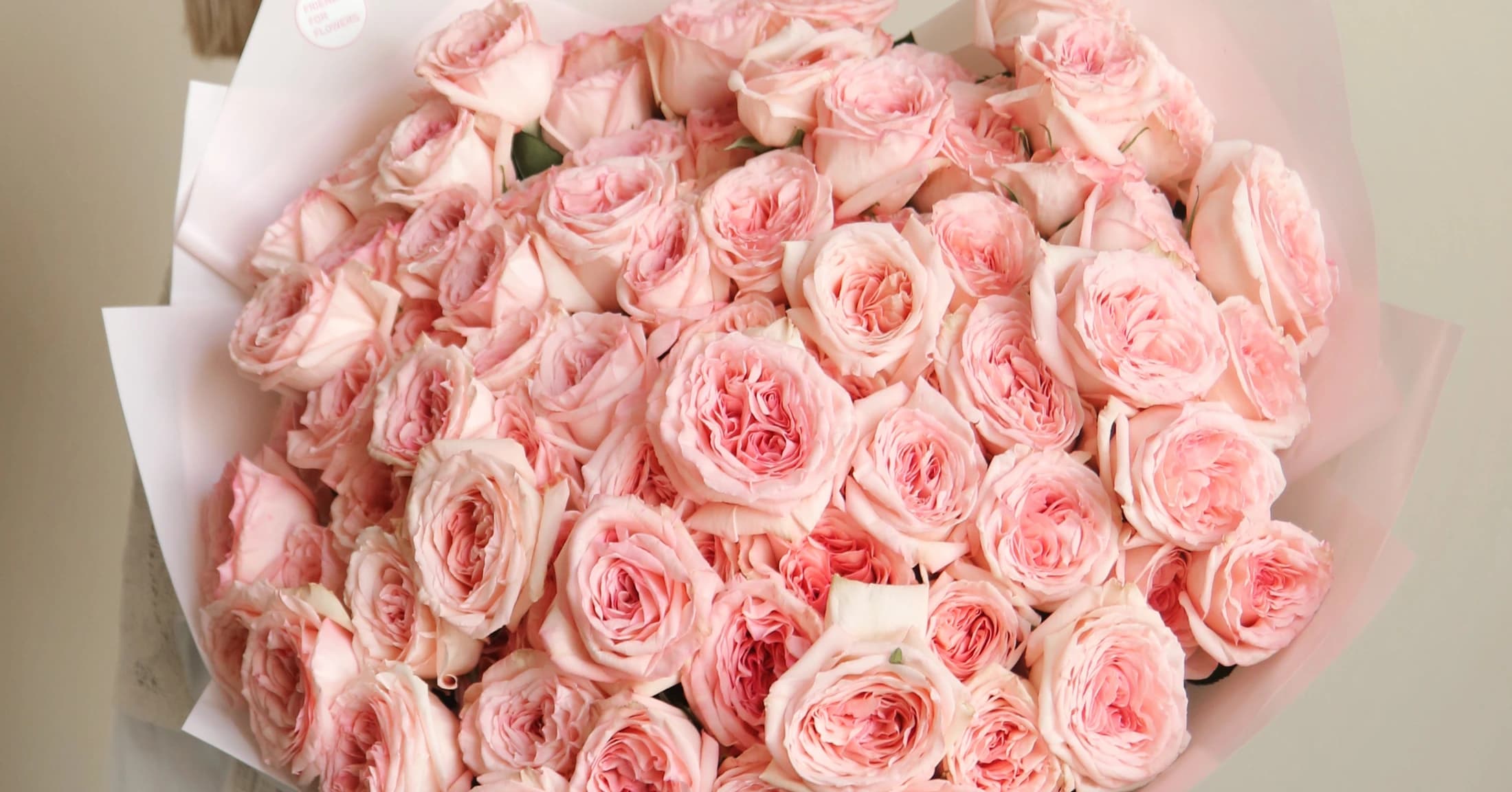 The Agency MENA Partners with Friends for Flowers — 4