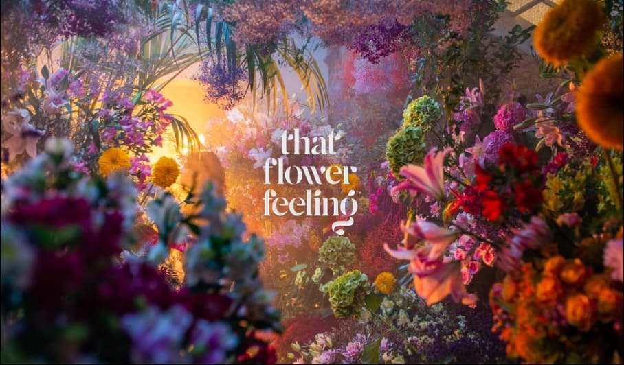 The Agency MENA Partners with Friends for Flowers