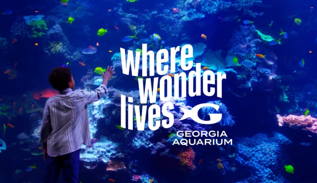 How Independent Agencies Cracked the $8 Million Super Bowl Game — 2