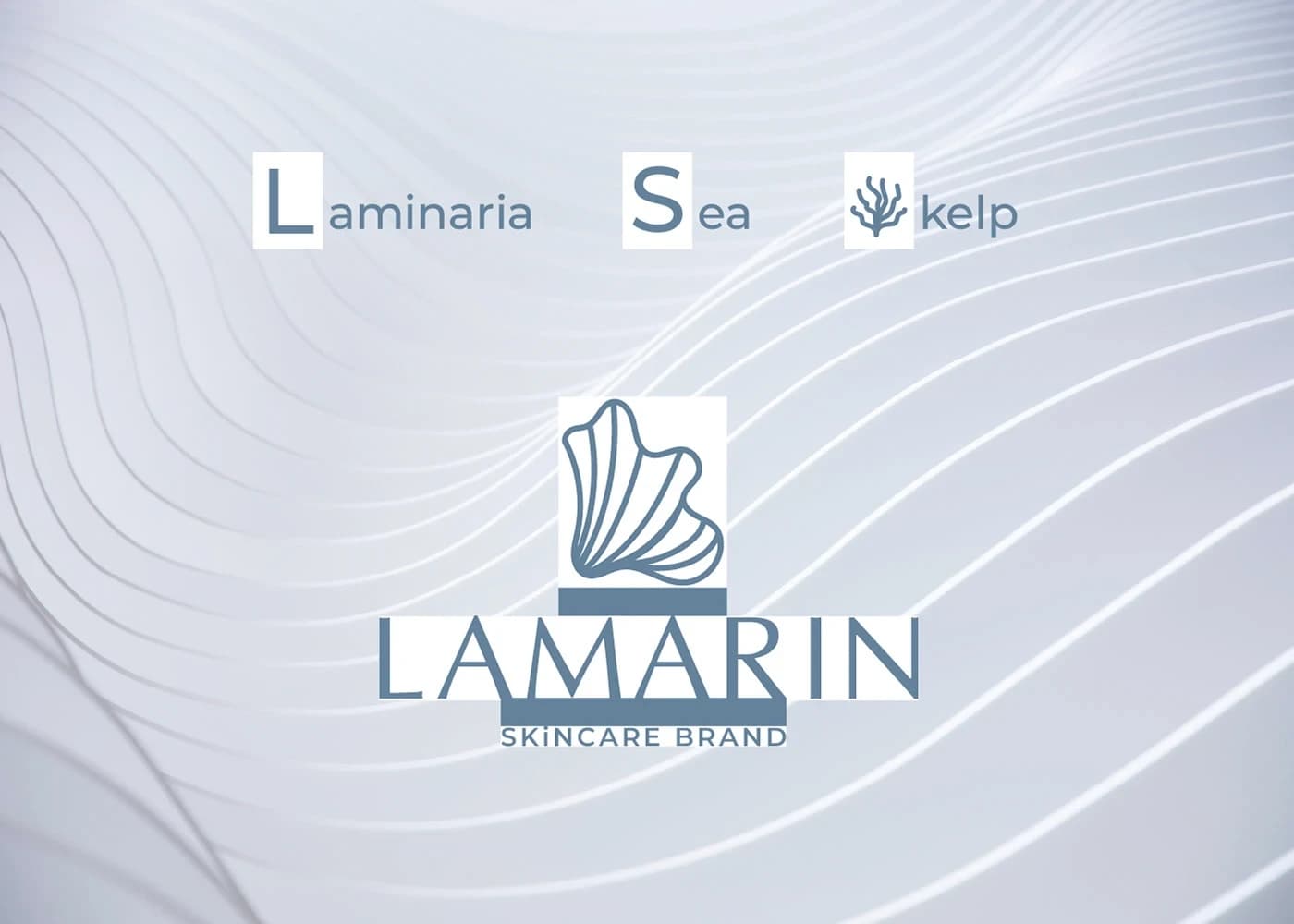 LuxPlanB Agency Confirms Broad Operational Engagement With Lamara Beauty — 4