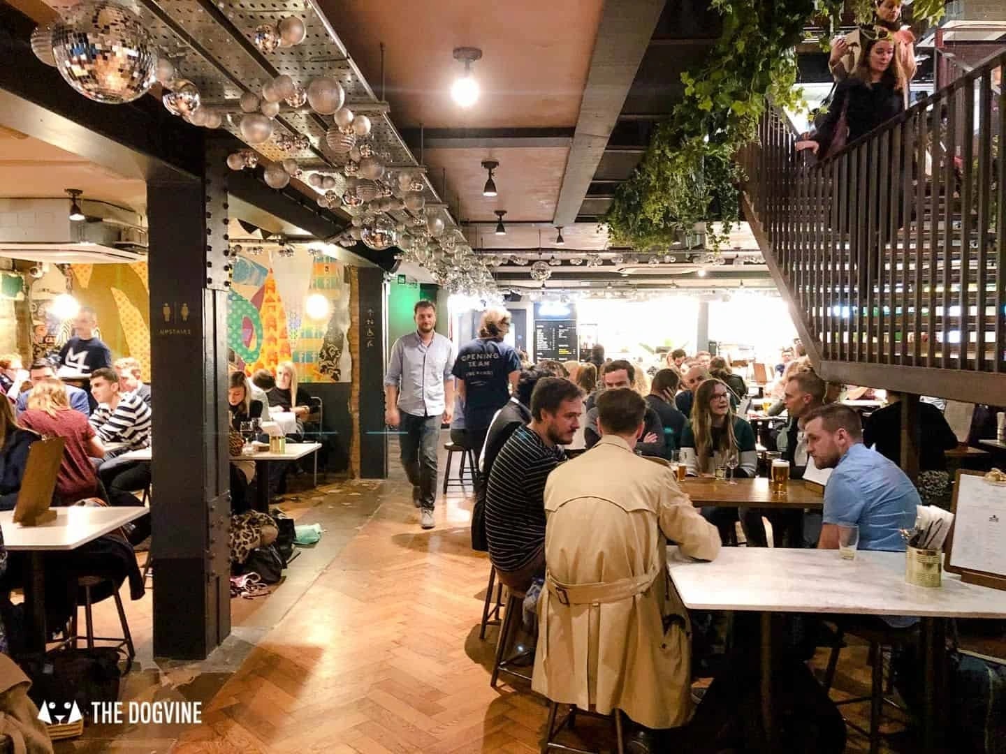 Market Place Launches Dog-Tails Campaign for Pet-Friendly Food Halls — 2