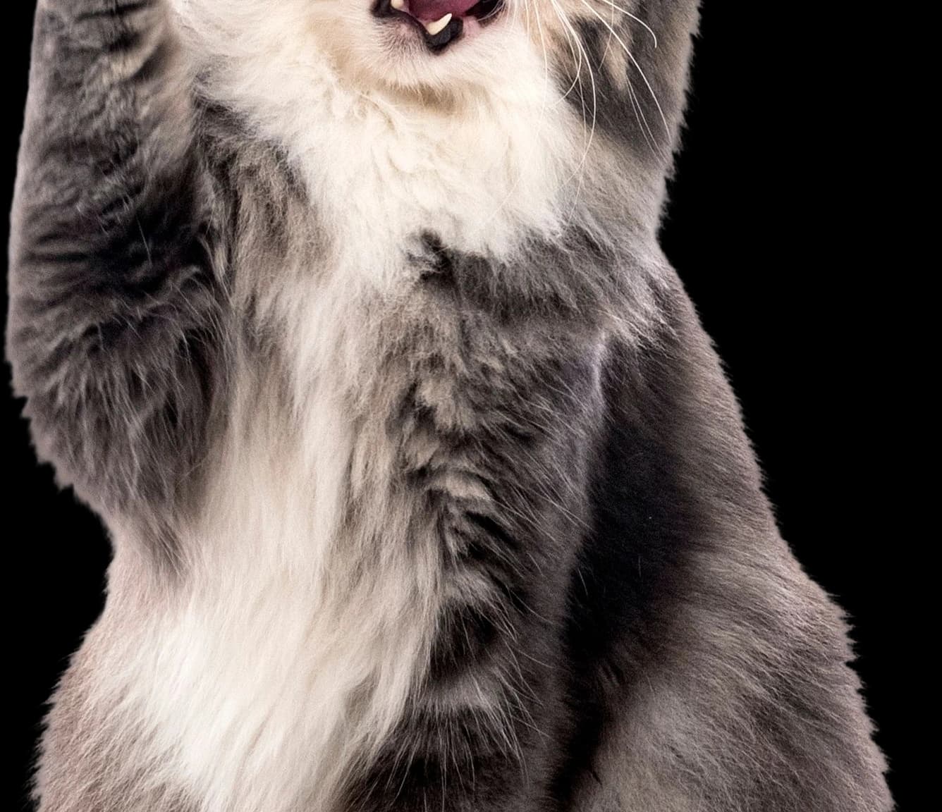 8Cats Digital Shortlisted for Mental Health Foundation Awareness Campaign — 4