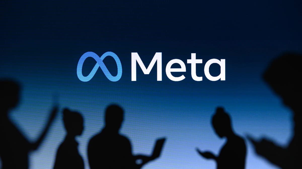 DooScout Details Meta Ad Account Management Tool for Agencies Handling Multiple Beauty Clients