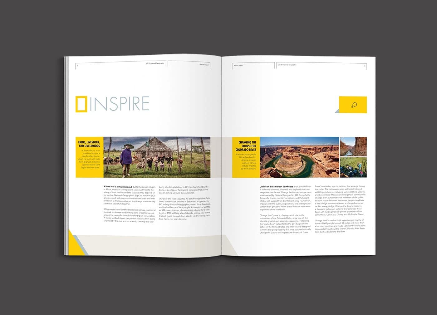 Godfrey Dadich Partners Drove National Geographic's Rebrand Through Editorial Charter Work — 4