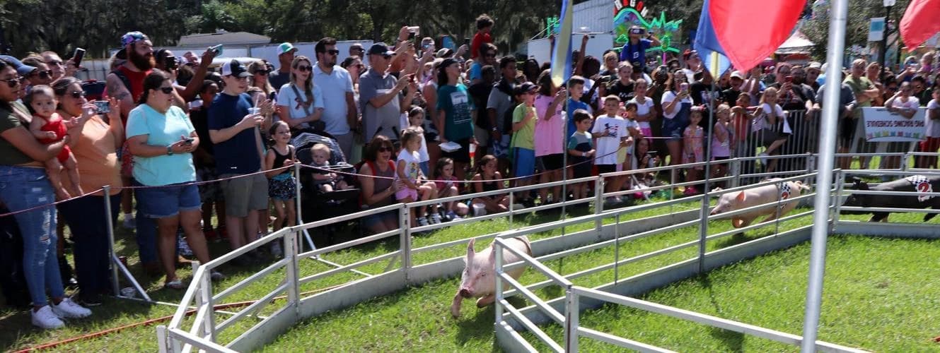 New Heights Communication Wins Award for Pig on the Pond Work — 2