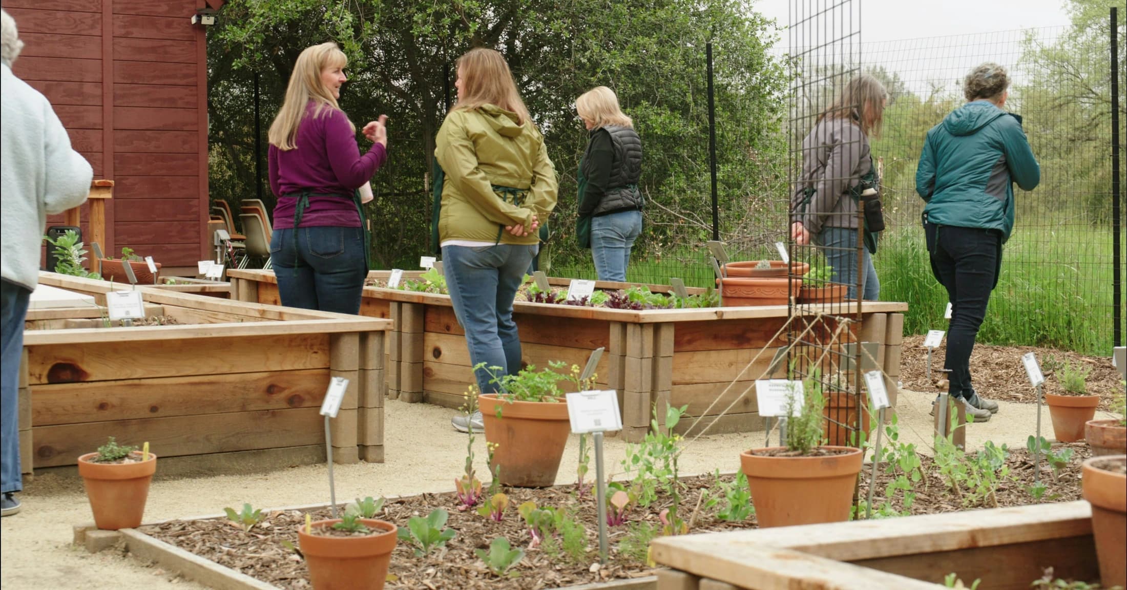 Magma Creative Designs Demonstration Garden for Placer County Water Agency — 2