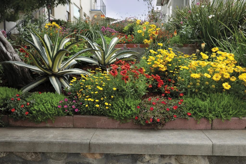 Magma Creative Designs Demonstration Garden for Placer County Water Agency — 4