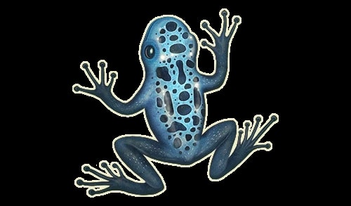 herman & partnerji Ties Radenska's Three-Hearts Symbol to Frog Discovery — 2