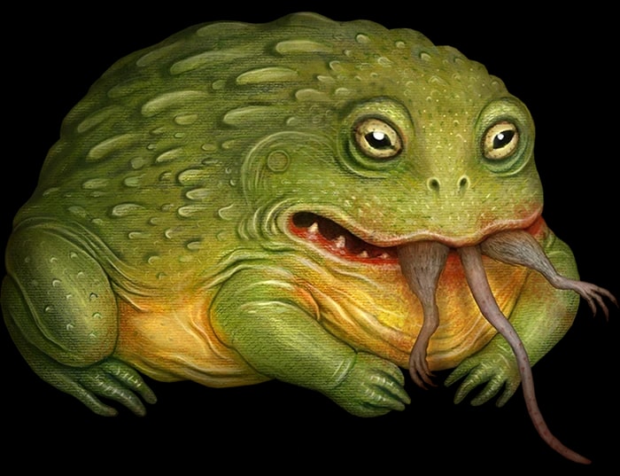 herman & partnerji Ties Radenska's Three-Hearts Symbol to Frog Discovery — 3