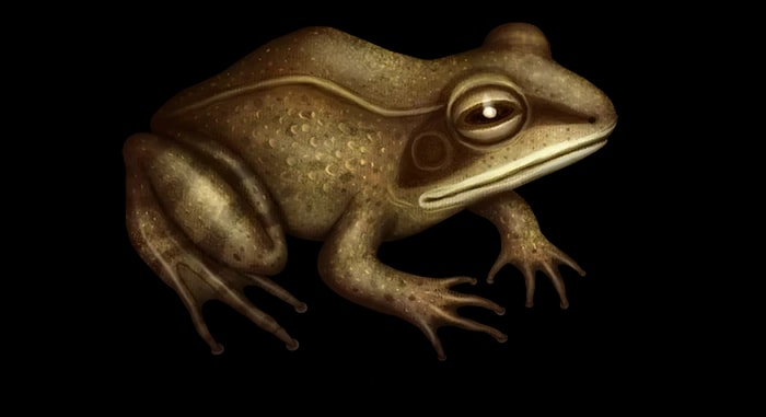 herman & partnerji Ties Radenska's Three-Hearts Symbol to Frog Discovery — 4