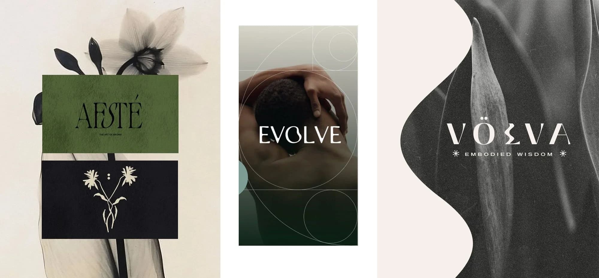 Idol Partners Creates Brand Identity for Shadowbox Studios — 2