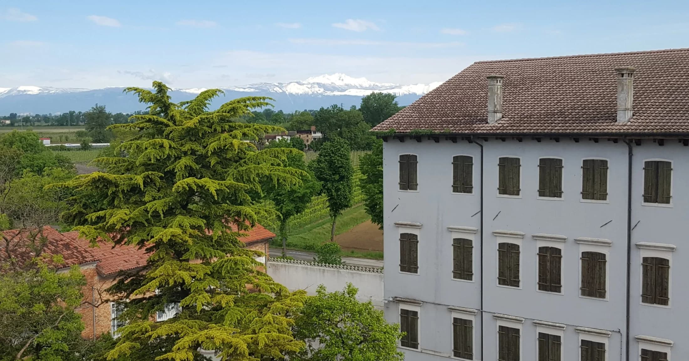 Trellage Winery Agency Launches Cento for Villa Bogdano 1880 — 2