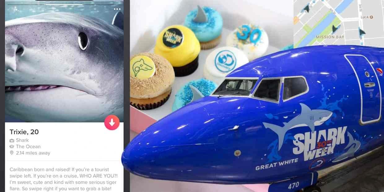 Ocean Conservancy Returns for Second Year on Warner Bros. Discovery's Shark Week Campaign — 2