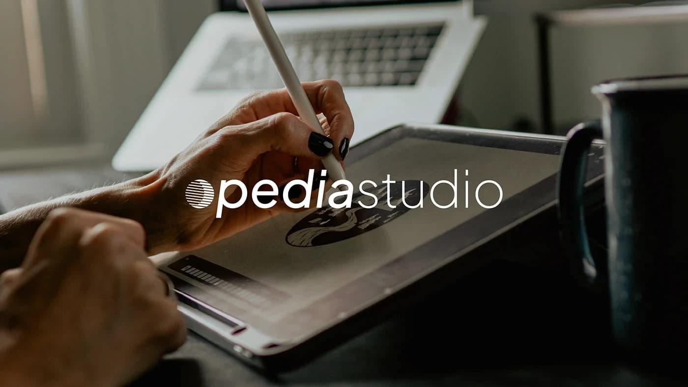 Opedia Studio Unveils Full Brand Identity for Waybee — 2