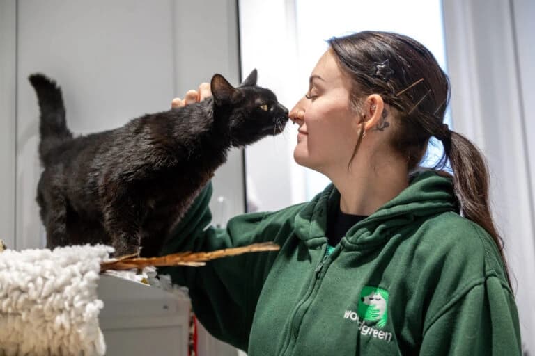 Beyond Launches National Campaign for Woodgreen Pets Charity After AOR Win — 2